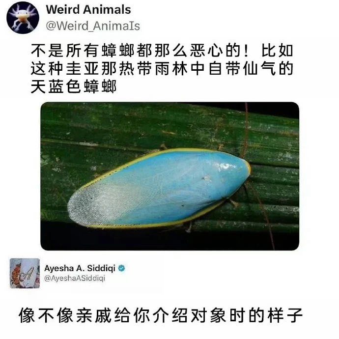 from 什么都能放 via DECADE