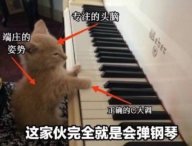 #可爱喵喵from 叮当喵喵-今天你也很可爱#可爱喵喵from 叮当喵喵-今天你也很可爱