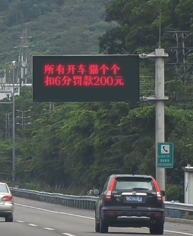 猫个个是什么意思哇？from 叮当喵喵-今天你也很可爱