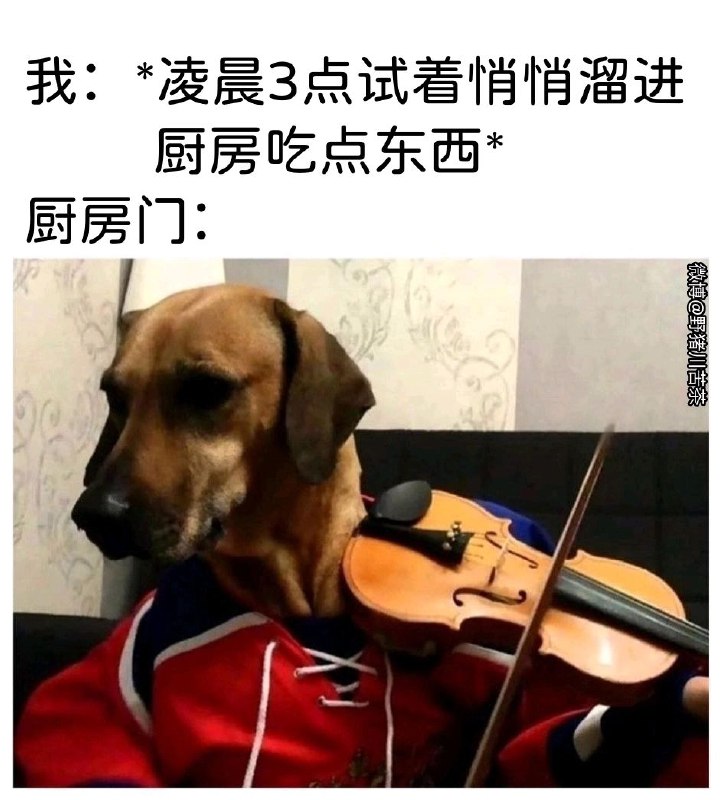 via 叮当via 叮当