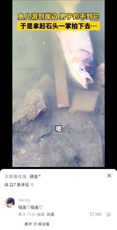 谐音梗享受者