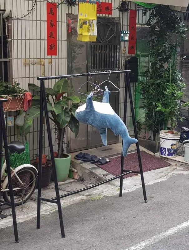 爱锻炼的鲨鲨from 叮当喵喵-今天你也很可爱