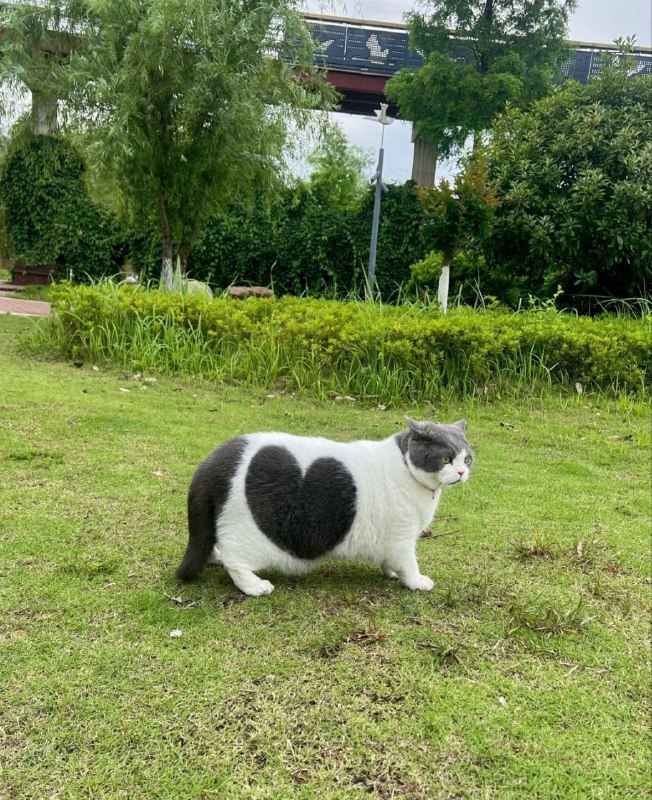 from Tik Tok有趣的靈魂👽