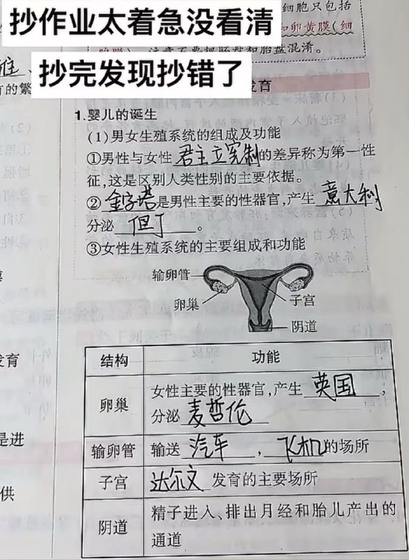 via 鸭累鸭累