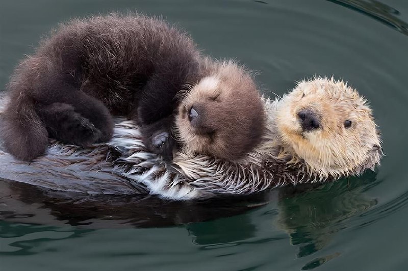 Eeeppppyfrom Cute Happy Stuffs