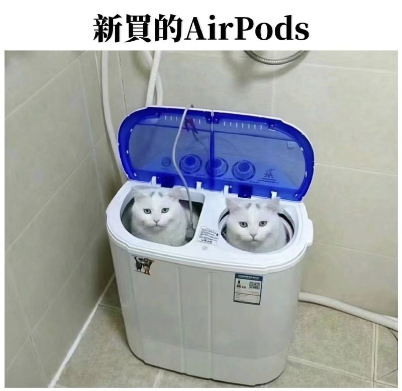 #可爱喵喵from 叮当喵喵-今天你也很可爱