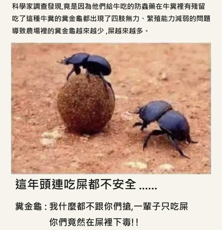 via AXJue/车皇