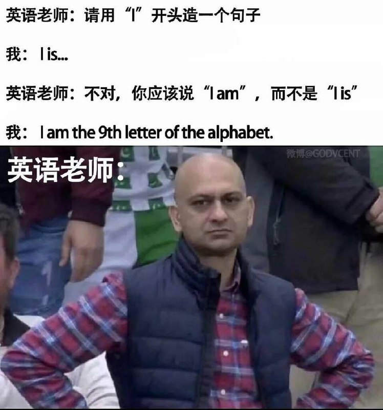from 什么都能放