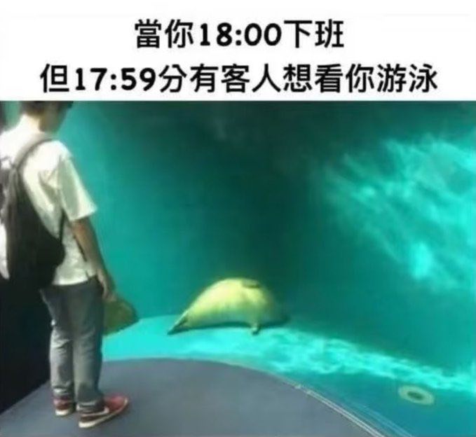 from 什么都能放 via DECADE