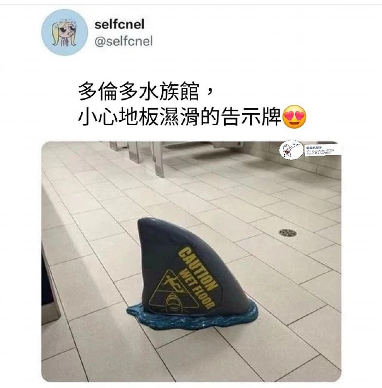 超酷！from 叮当喵喵-今天你也很可爱