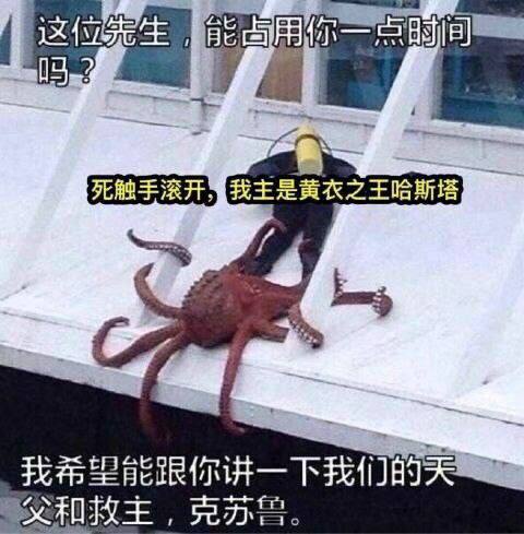 from 兔吞萝卜屋 via 半根萝卜HalfCarrot