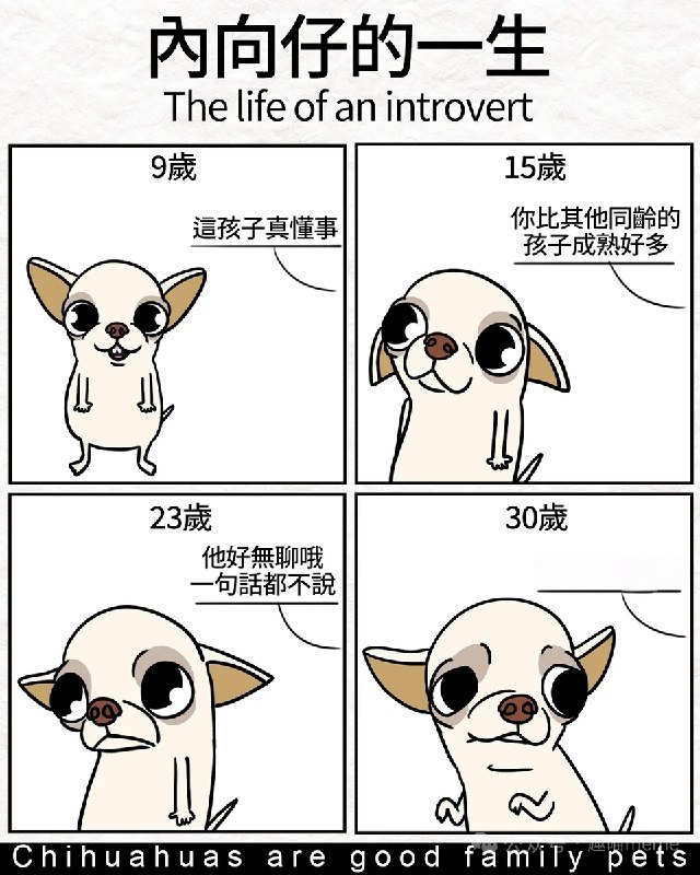 via 叮当