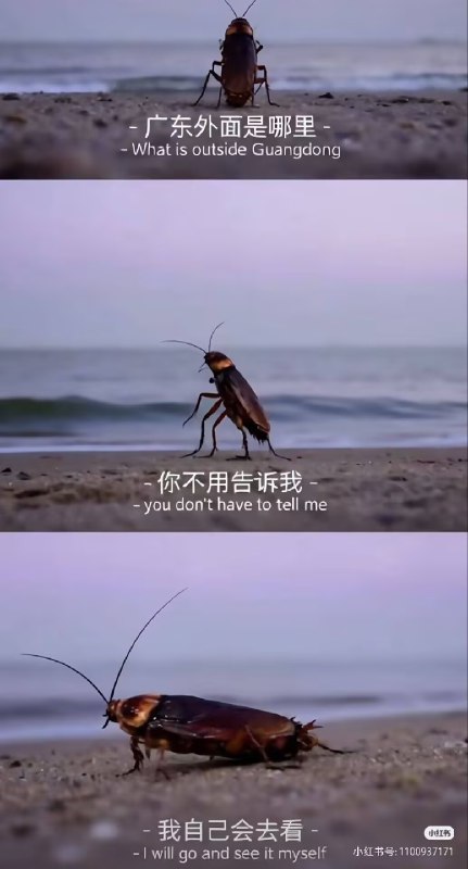 唯一一位说到做到的出现了from Dopamine