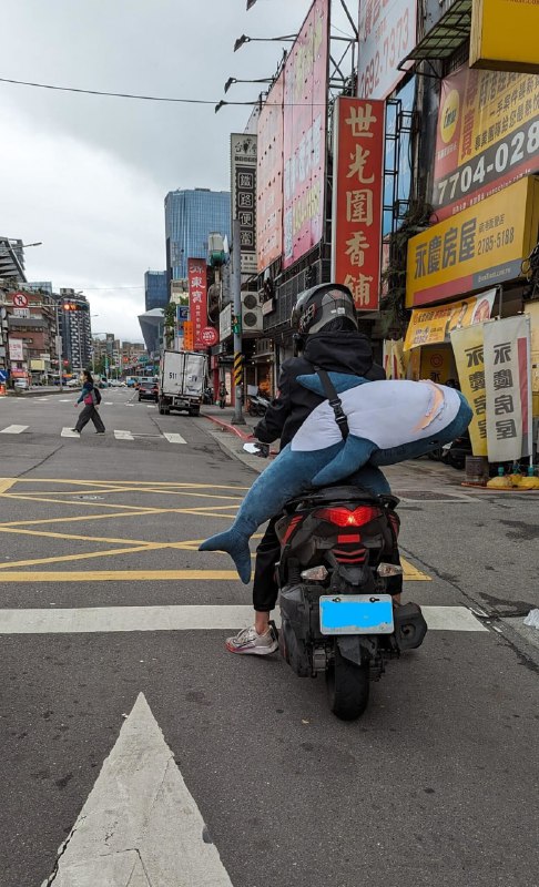 强迫鲨鲨出门，ta会非常不情愿！from 叮当喵喵-今天你也很可爱