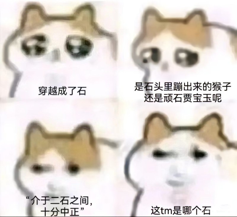 #龙猫via 叮当#龙猫via 叮当
