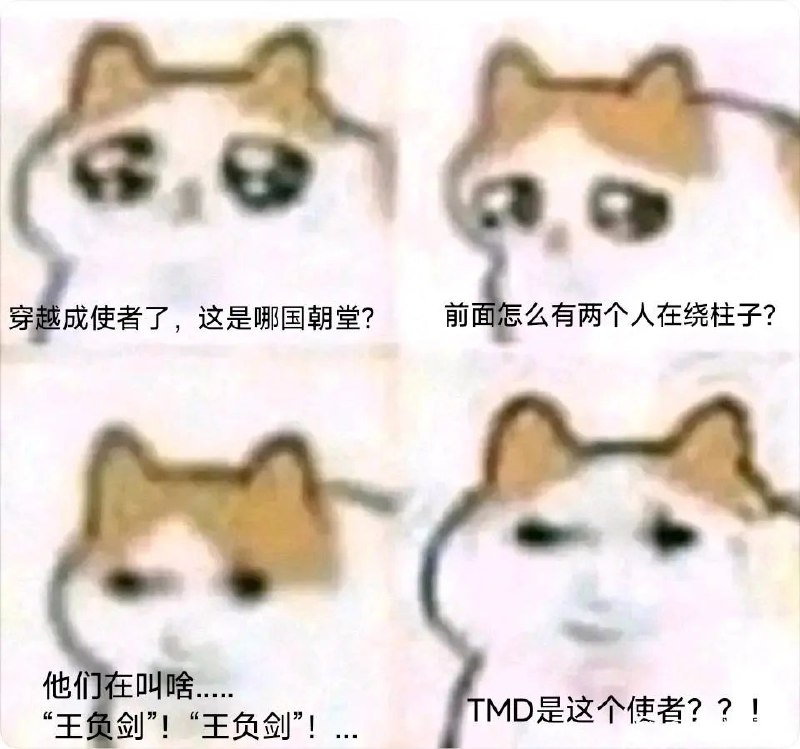 #龙猫via 叮当#龙猫via 叮当