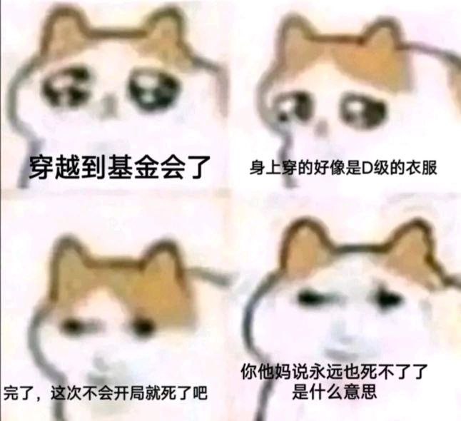 #龙猫via 叮当#龙猫via 叮当