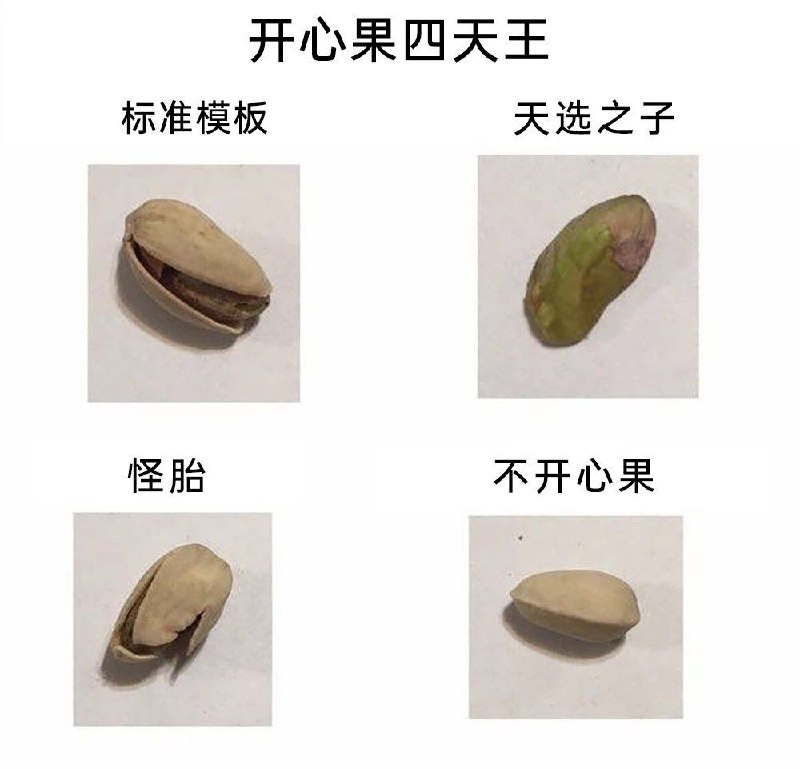 from 什么都能放