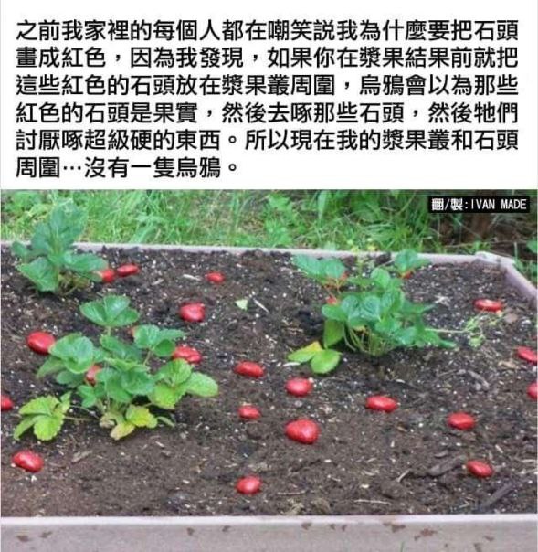 via AXJue/车皇
