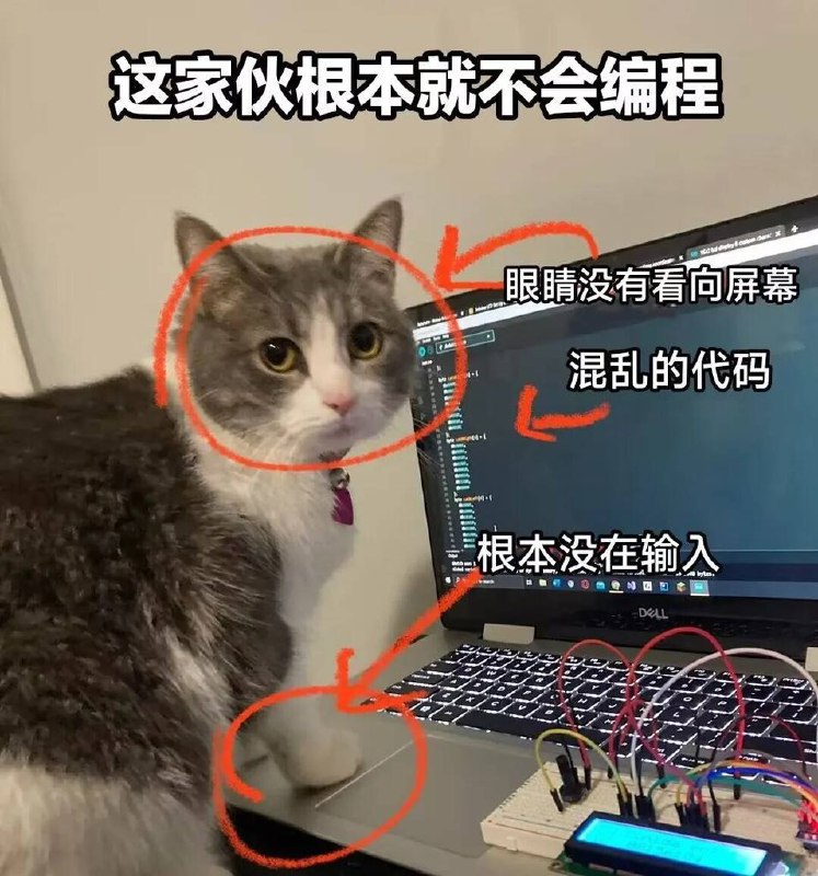 #可爱喵喵from 叮当喵喵-今天你也很可爱#可爱喵喵from 叮当喵喵-今天你也很可爱