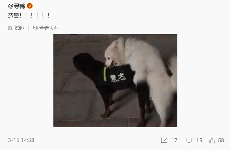 from 什么都能放 via DECADE
