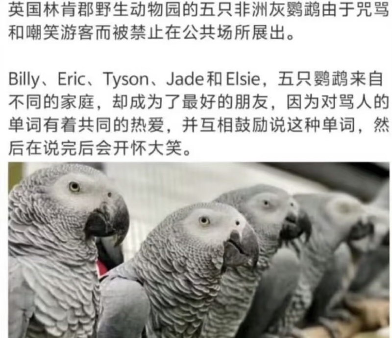 from 什么都能放 via DECADE