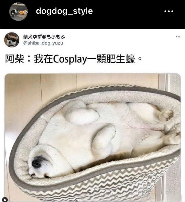 你这生蚝都长毛了，不能要了，丢了吧via efsg