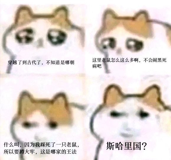 #龙猫via 叮当#龙猫via 叮当