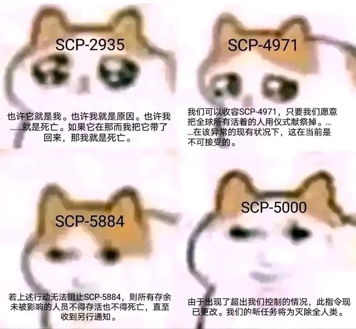 #龙猫via 叮当#龙猫via 叮当