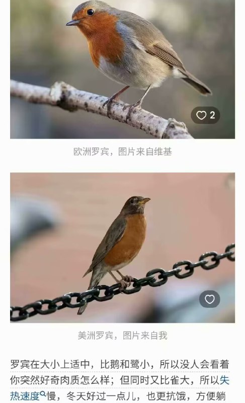 下辈子轮回参考 sourcefrom 微博精选下辈子轮回参考 sourcefrom 微博精选