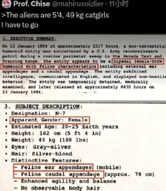哎我操美国佬怎么这么坏，有猫娘自己藏着掖着via Kagari