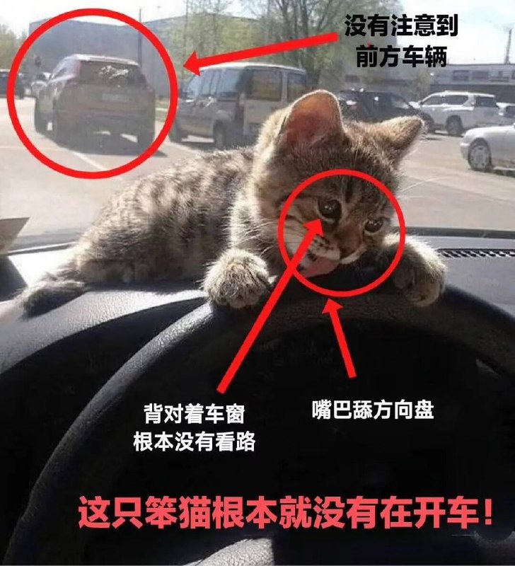 #可爱喵喵from 叮当喵喵-今天你也很可爱#可爱喵喵from 叮当喵喵-今天你也很可爱