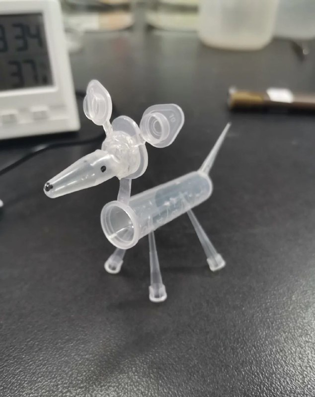 实验室制取小狗from 叮当喵喵-今天你也很可爱