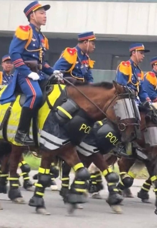 越南政府给警察制订的新制服越南政府给警察制订的新制服