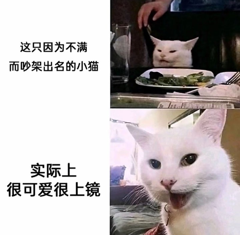 from 叮当喵喵-今天你也很可爱