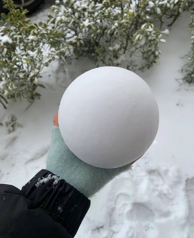 雪球仙人from 记得热爱生活