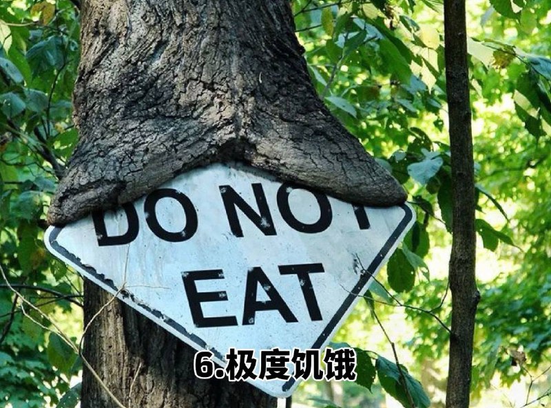 #趣图 奇怪的 #树 🌳🌳🌳#趣图 奇怪的 #树 🌳🌳🌳
