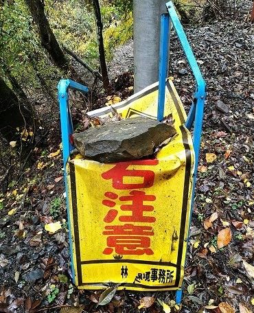 from 什么都能放 via DECADE