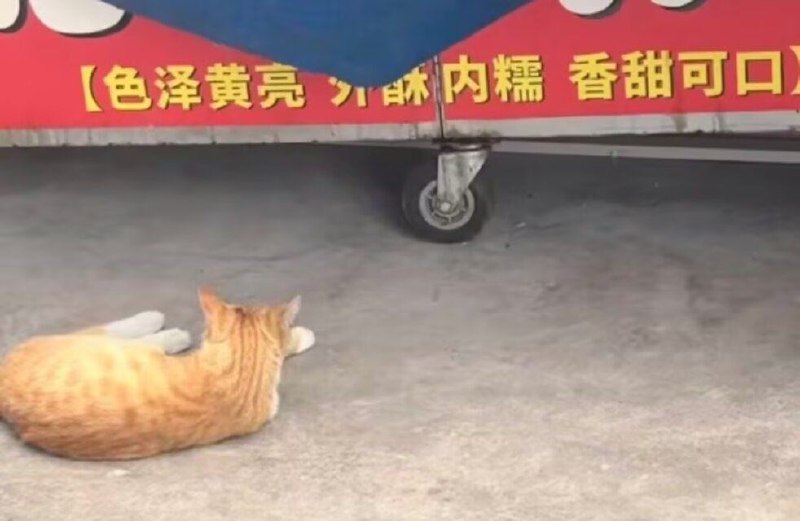 from 叮当喵喵-今天你也很可爱