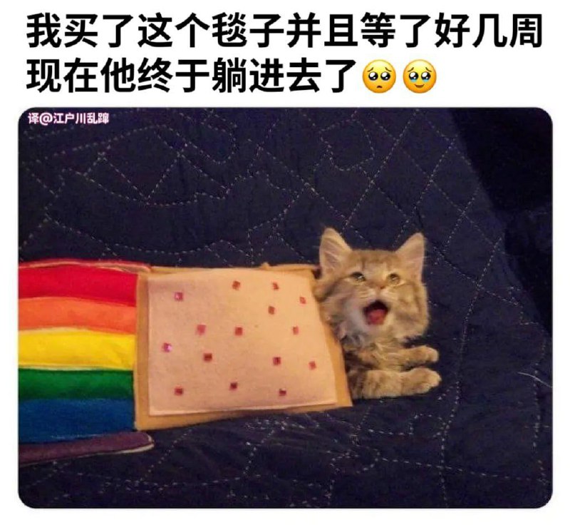 from 咕谷の小窝 via frankrank
