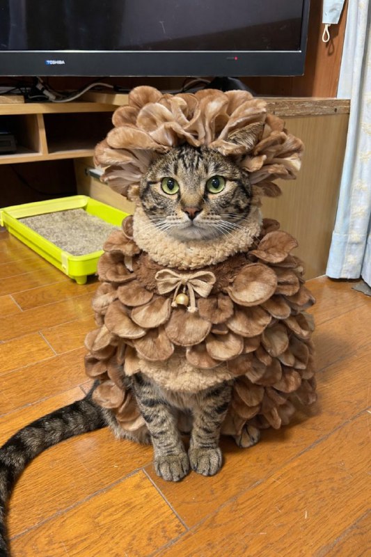 感染《最后生还者》里面孢子的哈基米via 半根萝卜HalfCarrot