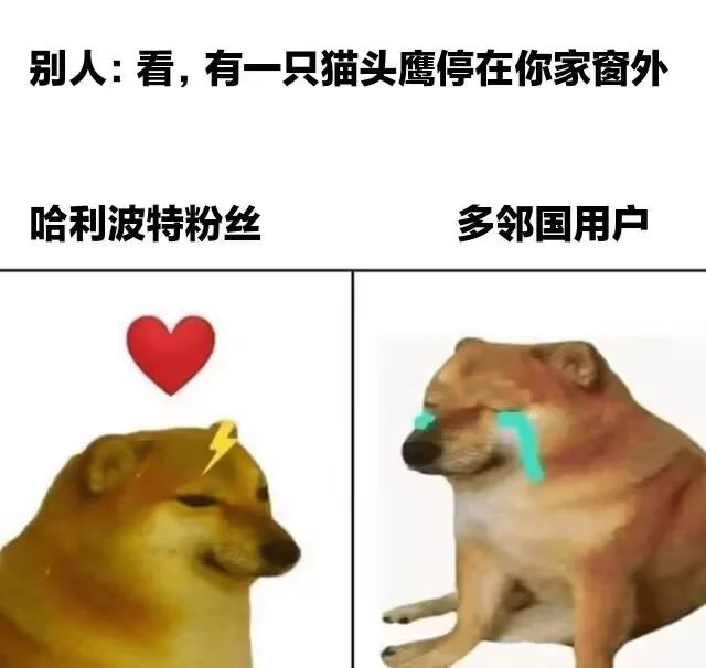from 叮当喵喵-今天你也很可爱