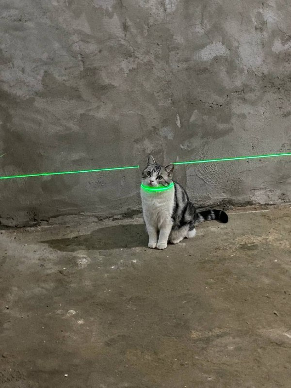 🥰🥰