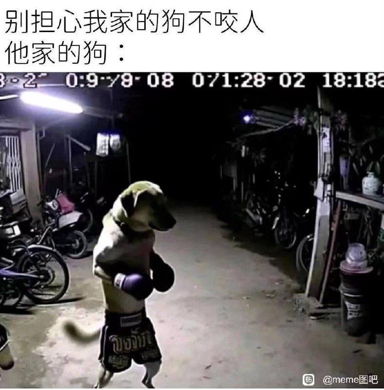 审核注