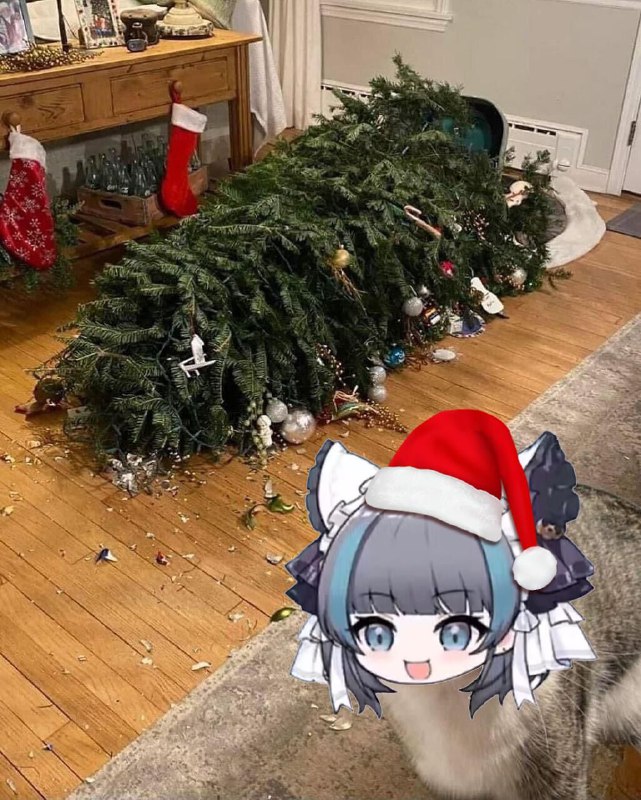 via 半根萝卜HalfCarrotvia 半根萝卜HalfCarrot