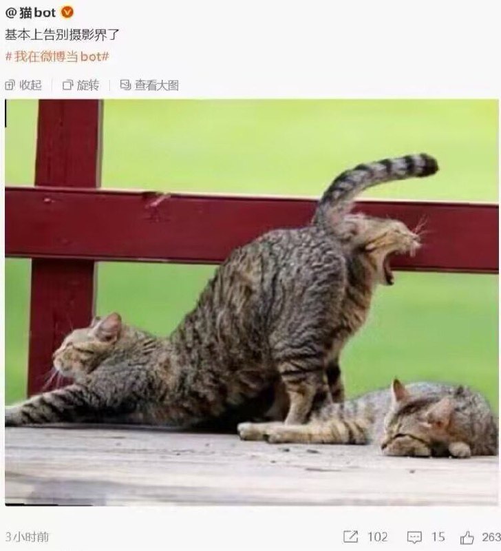 from 什么都能放 via DECADE