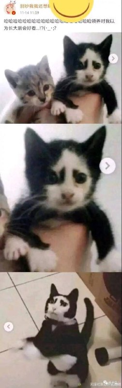 from 兔吞萝卜屋 via 半根萝卜HalfCarrot