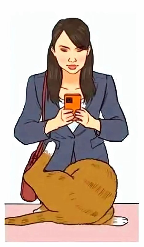 via 叮当via 叮当