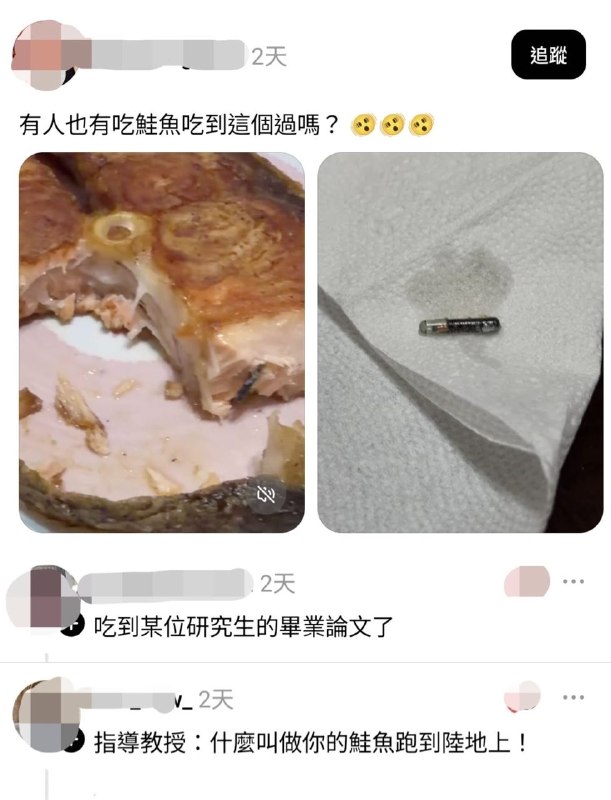 from 什么都能放 via DECADE