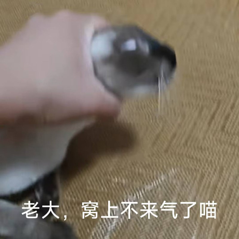 via 圆头耄耋 丰川祥子